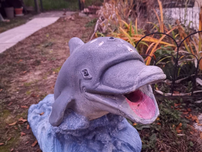 Un dauphin en peluche posé dans le jardin