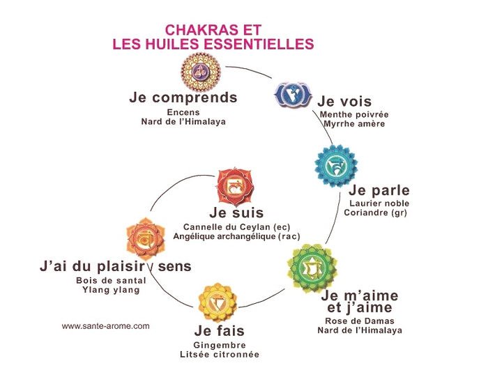 Schéma reliant les chakras et les huiles essentielles