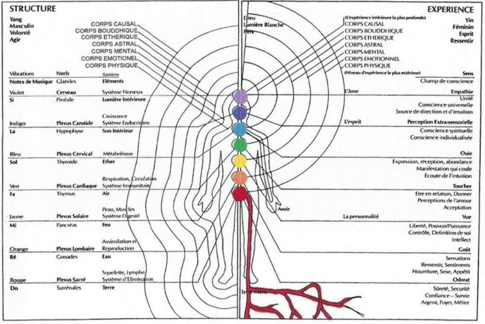 Planche illustrée des sept chakras et de leur emplacement sur le corps